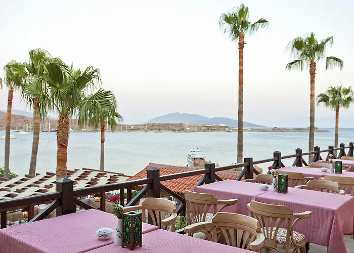 Selectum Colours Bodrum 검벳