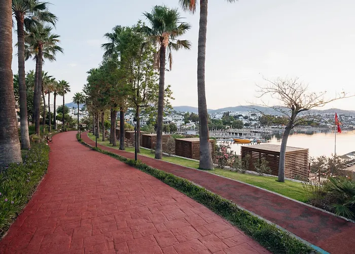 Selectum Colours Bodrum